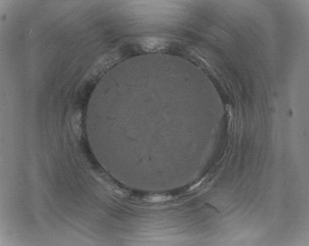 X0000071850319200606301344