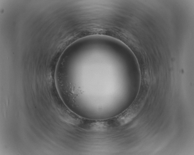 X0000071850320200606301344