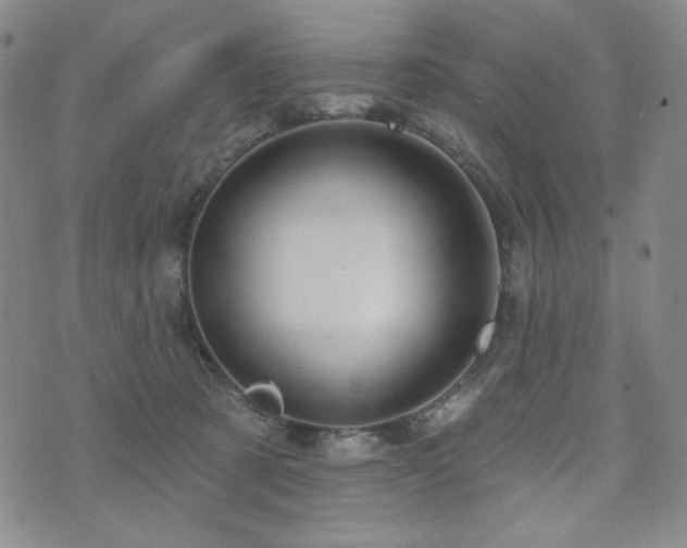 X0000071850321200606301343