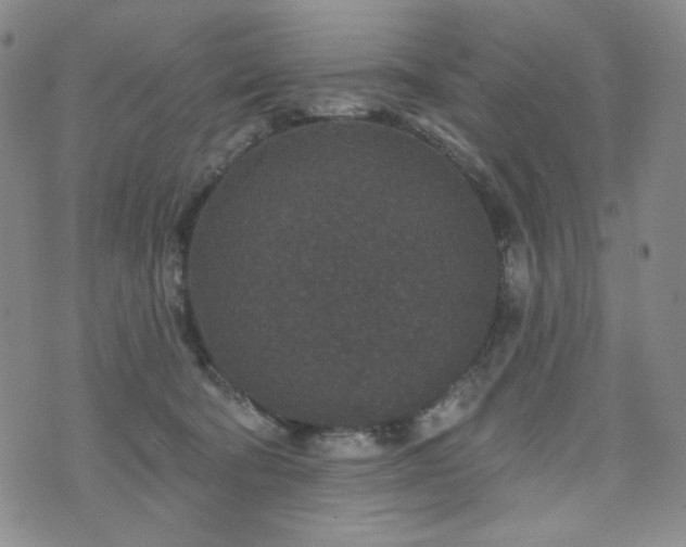 X0000071850322200606301343