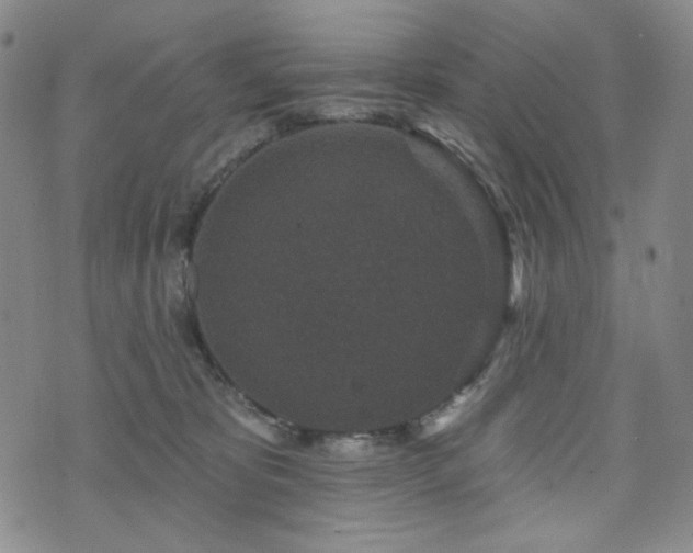 X0000071850325200606301343