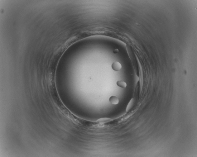 X0000071850326200606301343