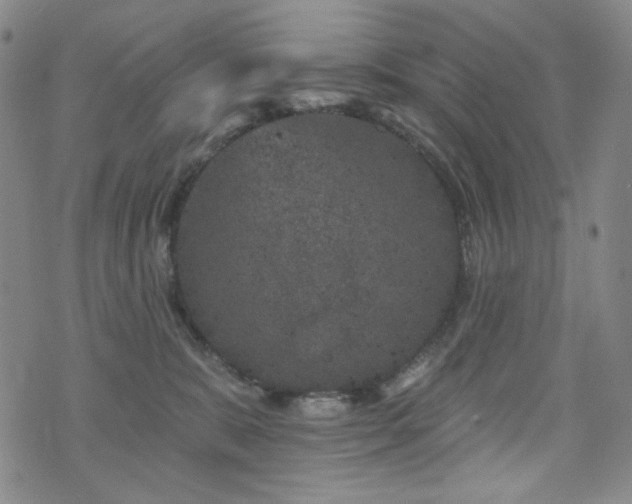 X0000071850327200606301343