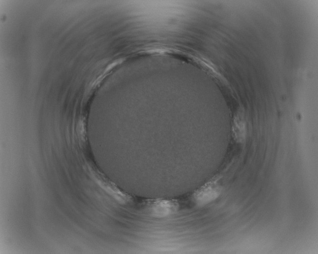 X0000071850330200606301343