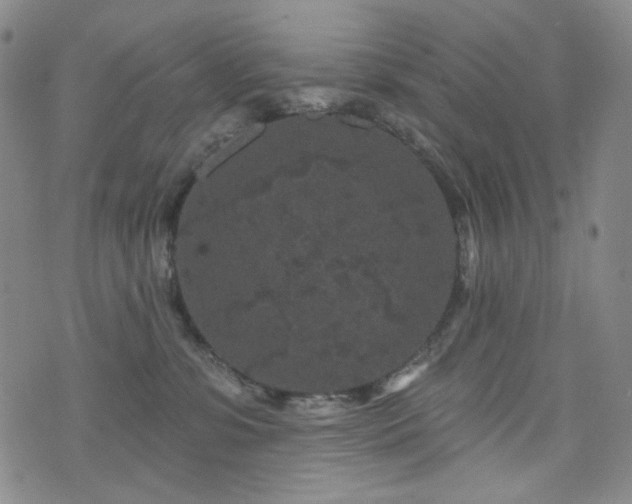 X0000071850331200606301343