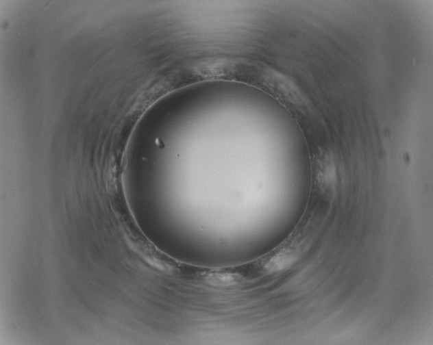 X0000071850332200606301343