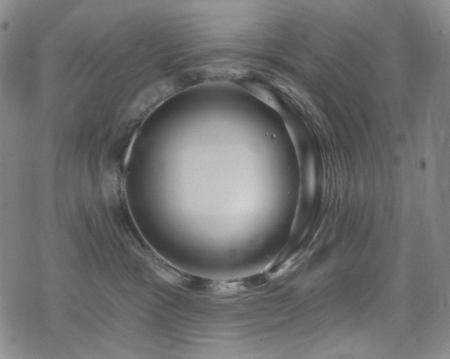 X0000071850333200606301343