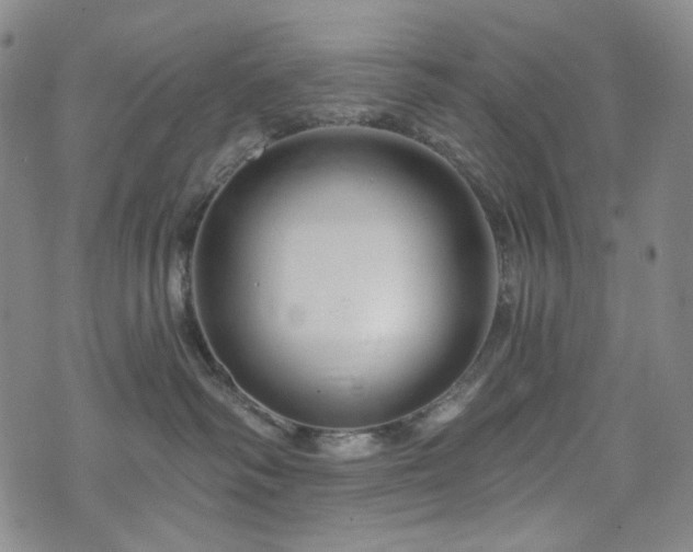 X0000071850334200606301343