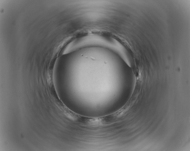 X0000071850335200606301343