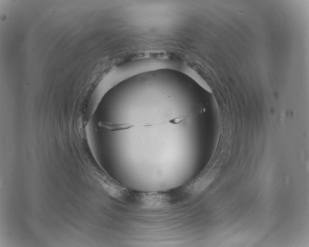 X0000071850336200606301343