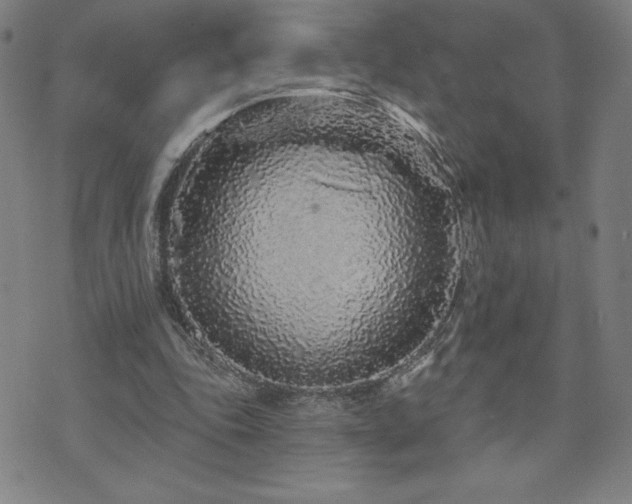 X0000071850343200606301343