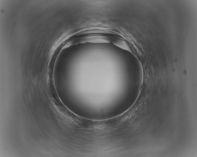 X0000071850344200606301343