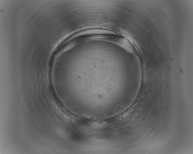 X0000071850346200606301343