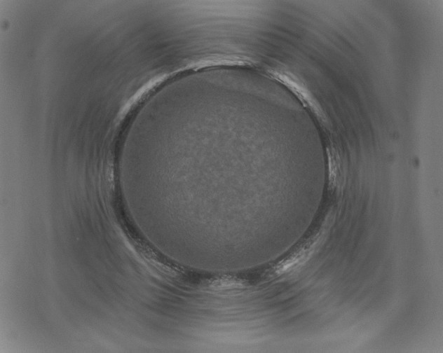 X0000071850348200606301343