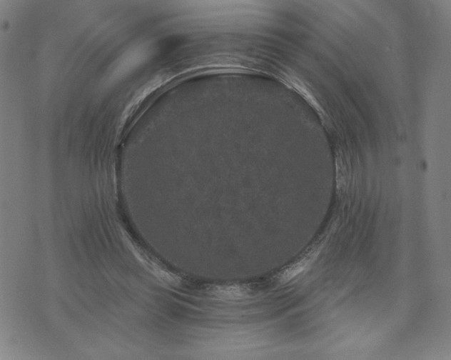 X0000071850349200606301343