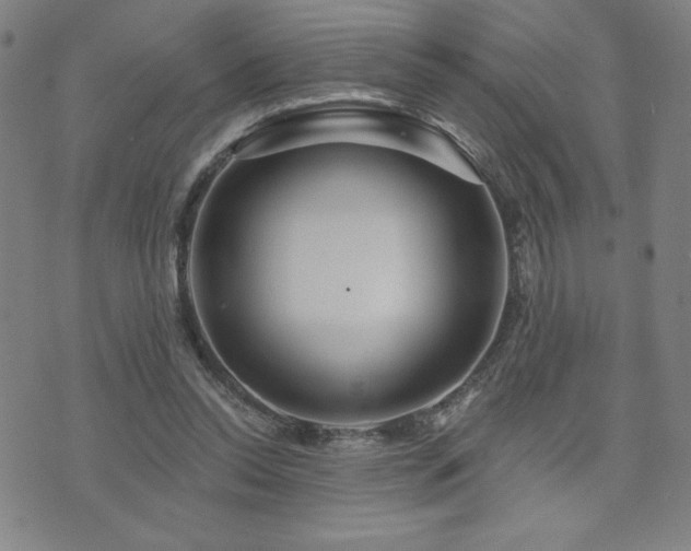 X0000071850350200606301343