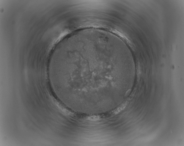 X0000071850353200606301343