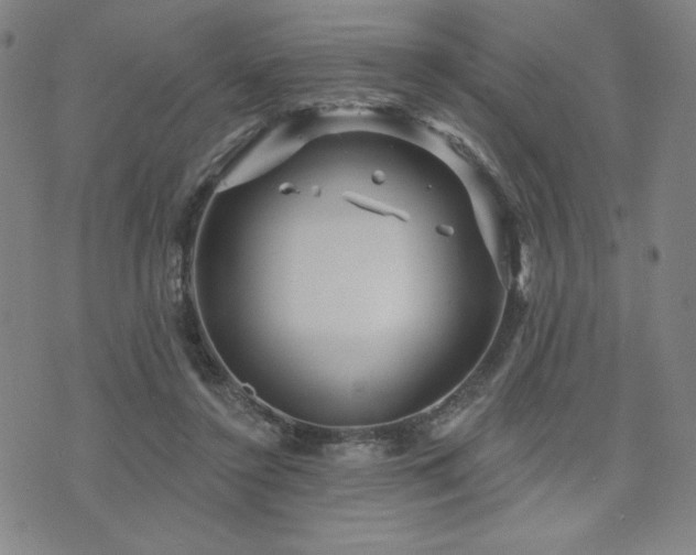 X0000071850356200606301343