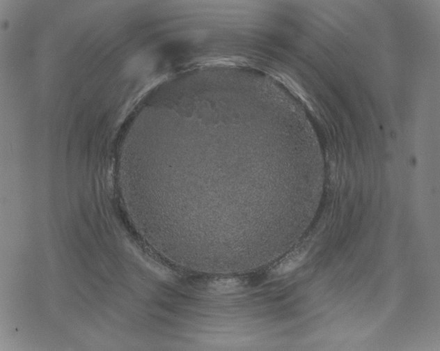 X0000071850357200606301343