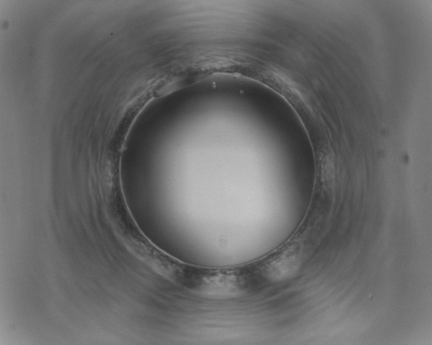 X0000071850362200606301343