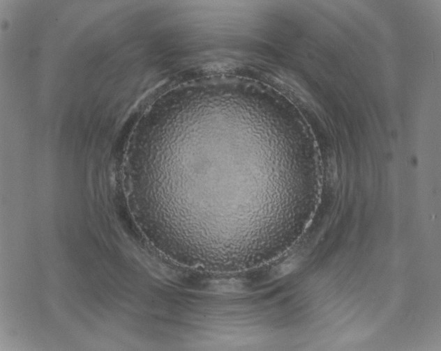 X0000071850363200606301343