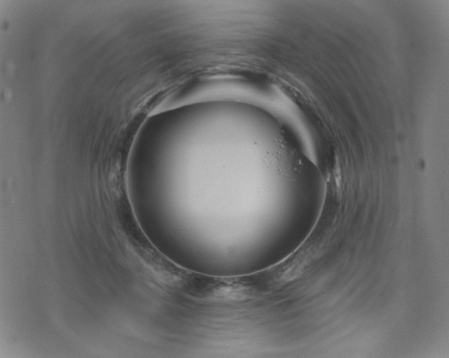 X0000071850364200606301343