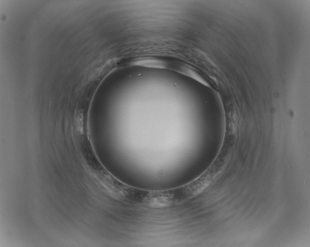 X0000071850368200606301343