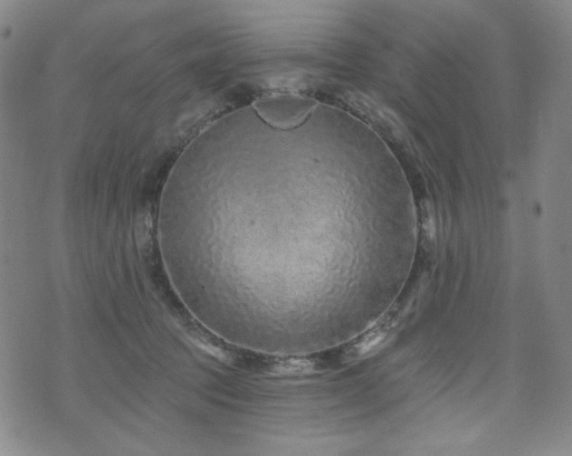 X0000071850369200606301343