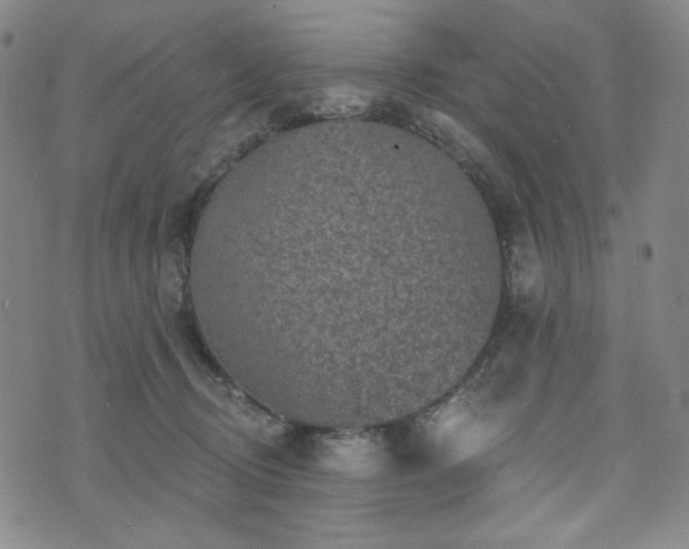 X0000071850370200606301343