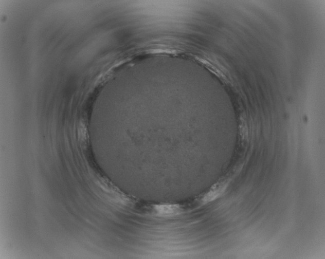 X0000071850371200606301343