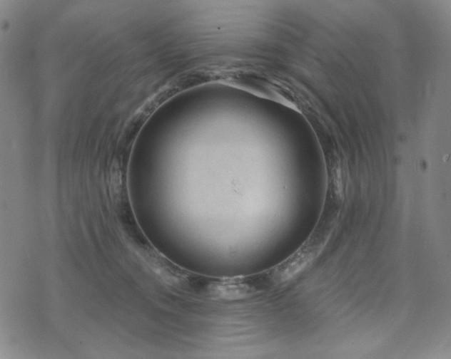 X0000071850372200606301343