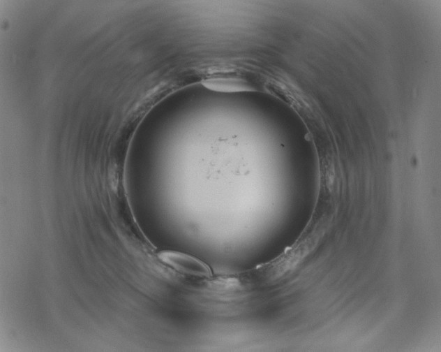 X0000071850374200606301343