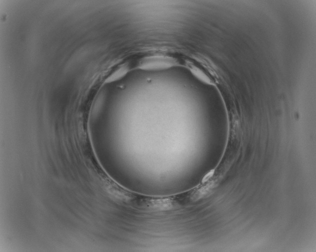 X0000071850377200606301343