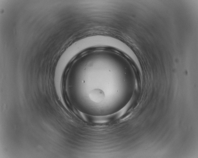 X0000071850382200606301343