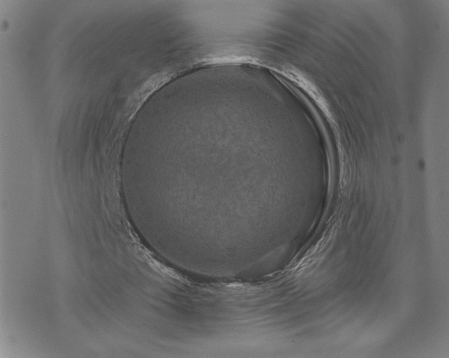 X0000071850385200606301342