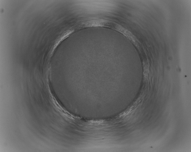 X0000071850386200606301342