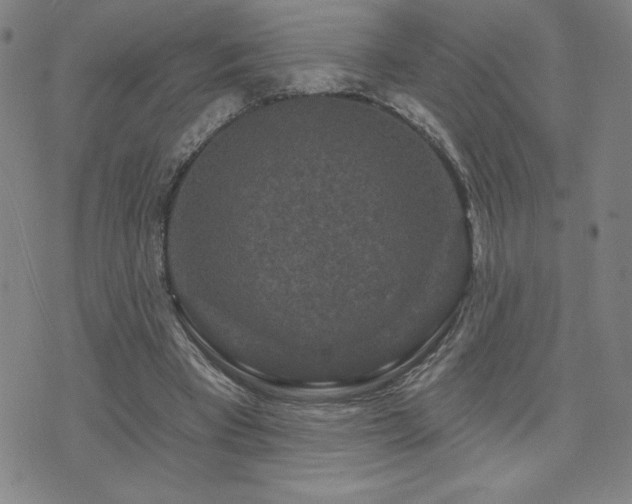 X0000071850393200606301342