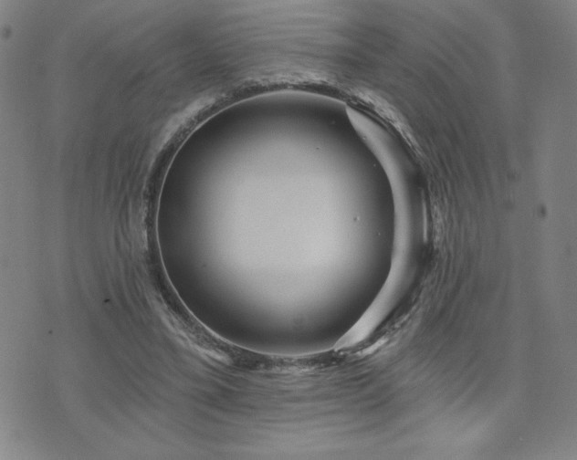 X0000071850395200606301342