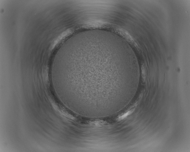 X0000071850396200606301342