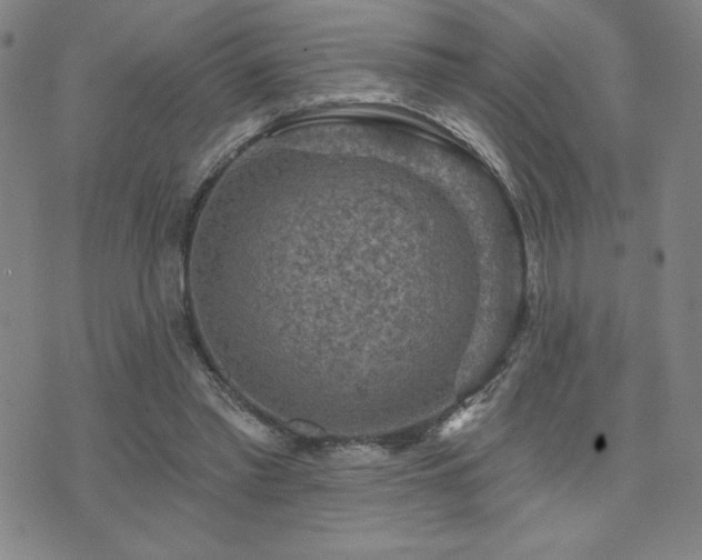 X0000071850397200606301342