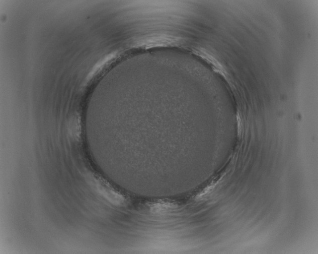 X0000071850400200606301342