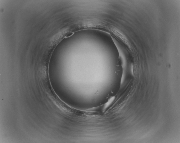 X0000071850401200606301342