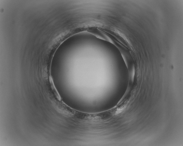 X0000071850403200606301342