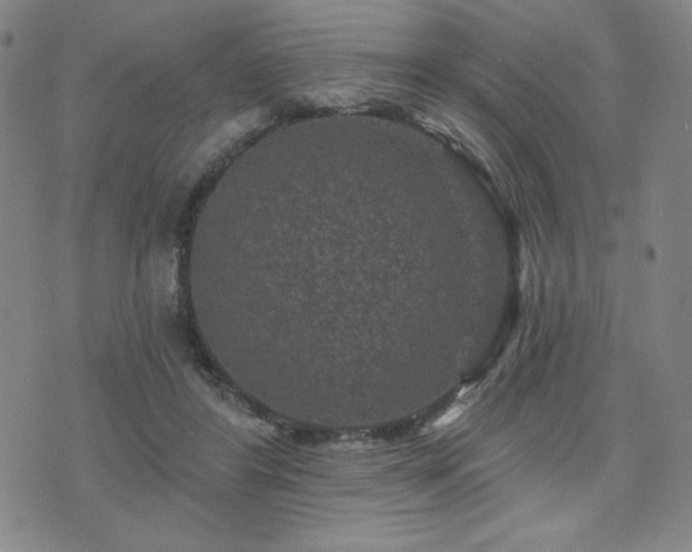 X0000071850404200606301342