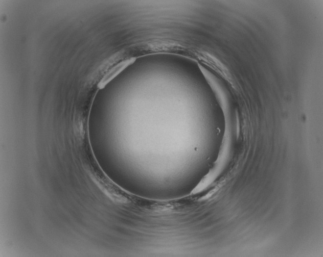 X0000071850405200606301342