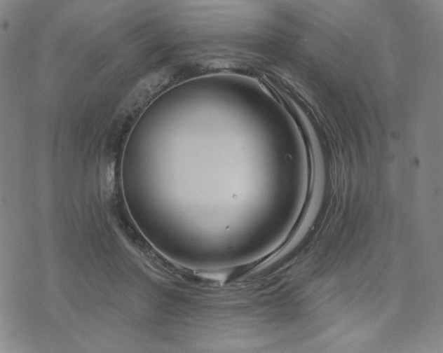 X0000071850406200606301342