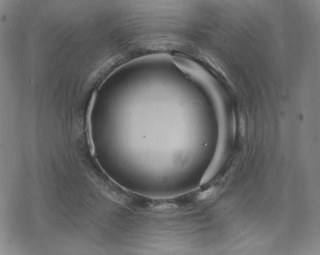 X0000071850407200606301342