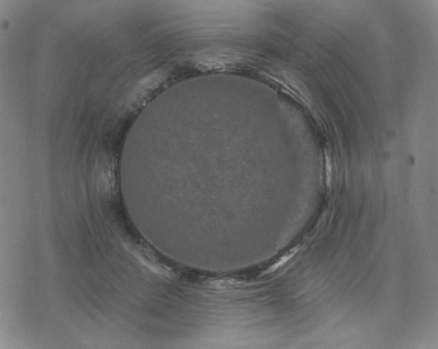 X0000071850408200606301342