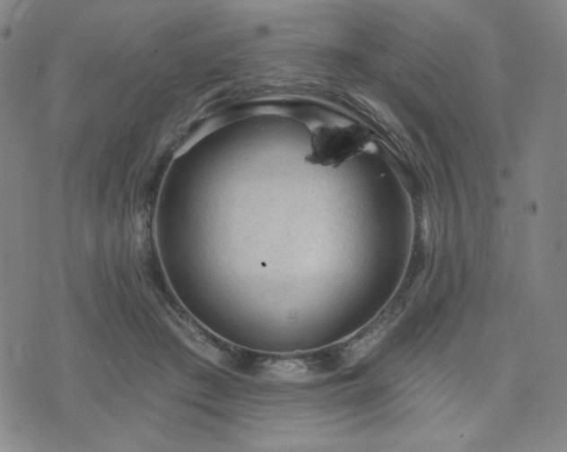 X0000071850409200606301342