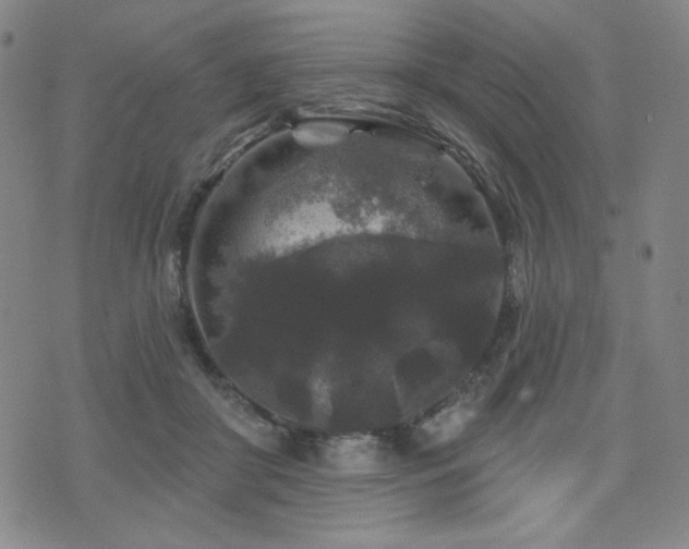 X0000071850410200606301342